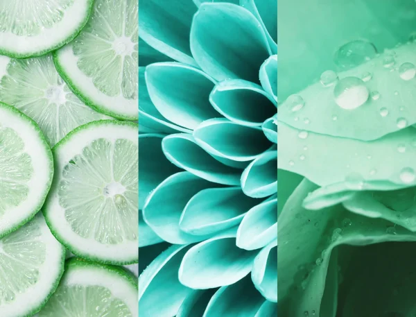 8×4 Deodorant Spray N°7 Fresh Lime 4